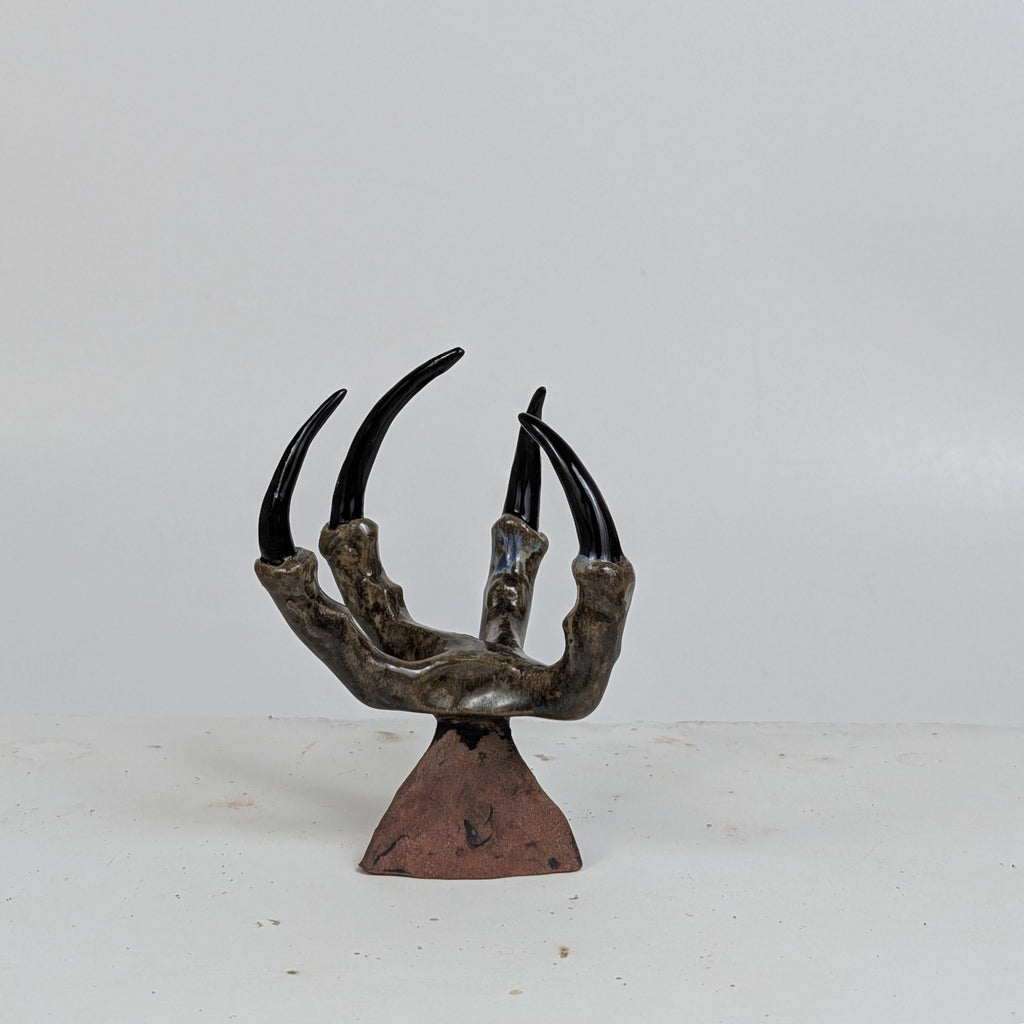 THE CLAW
