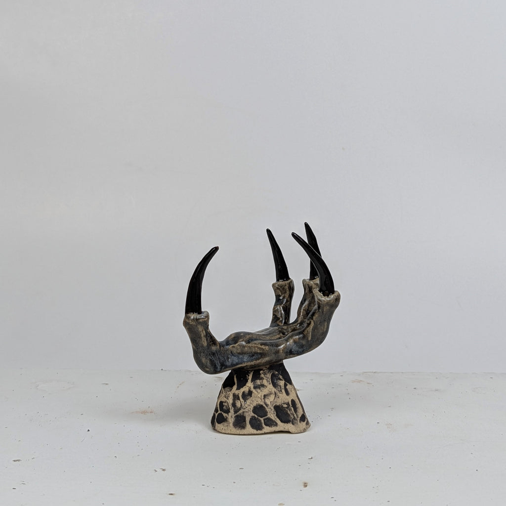 THE CLAW