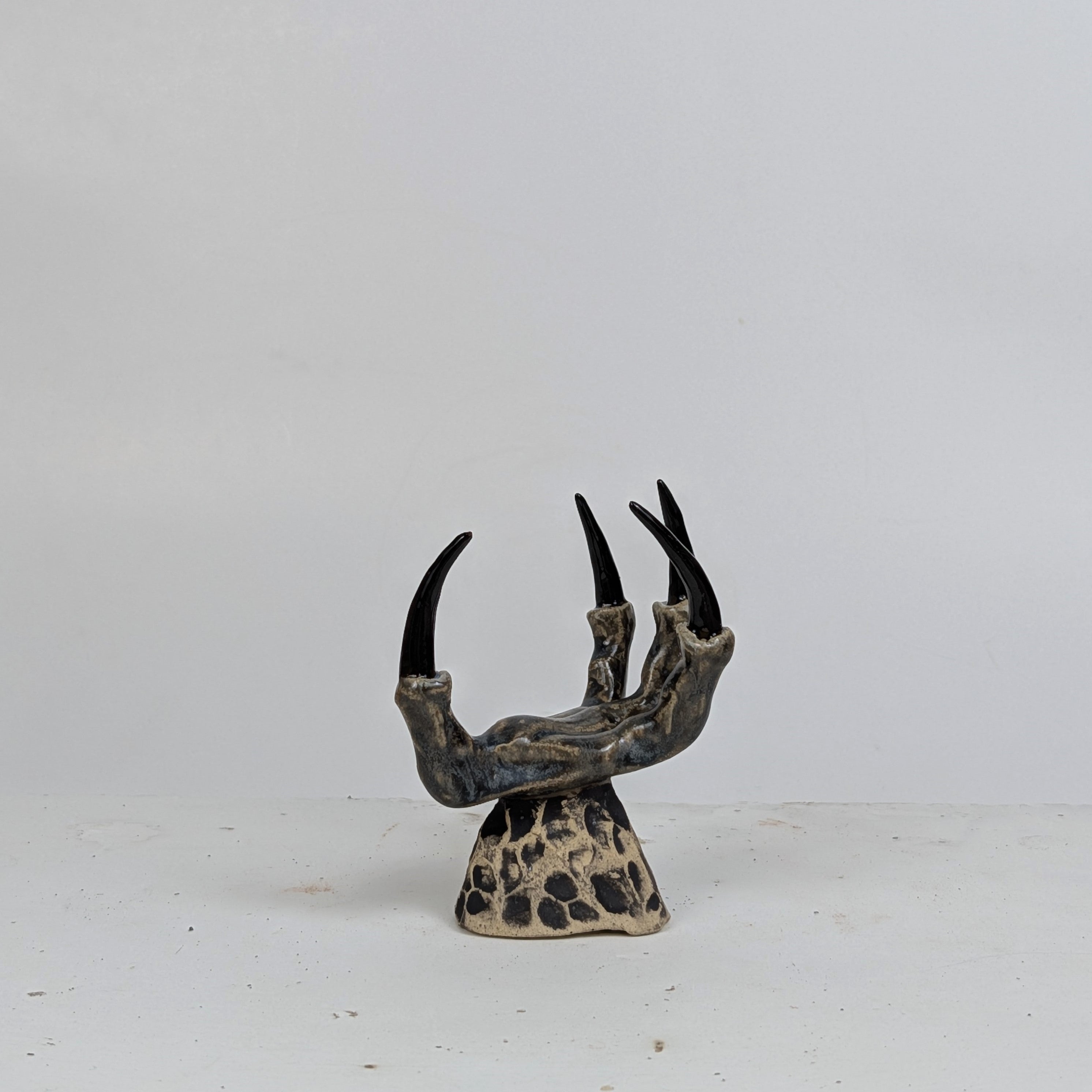 THE CLAW