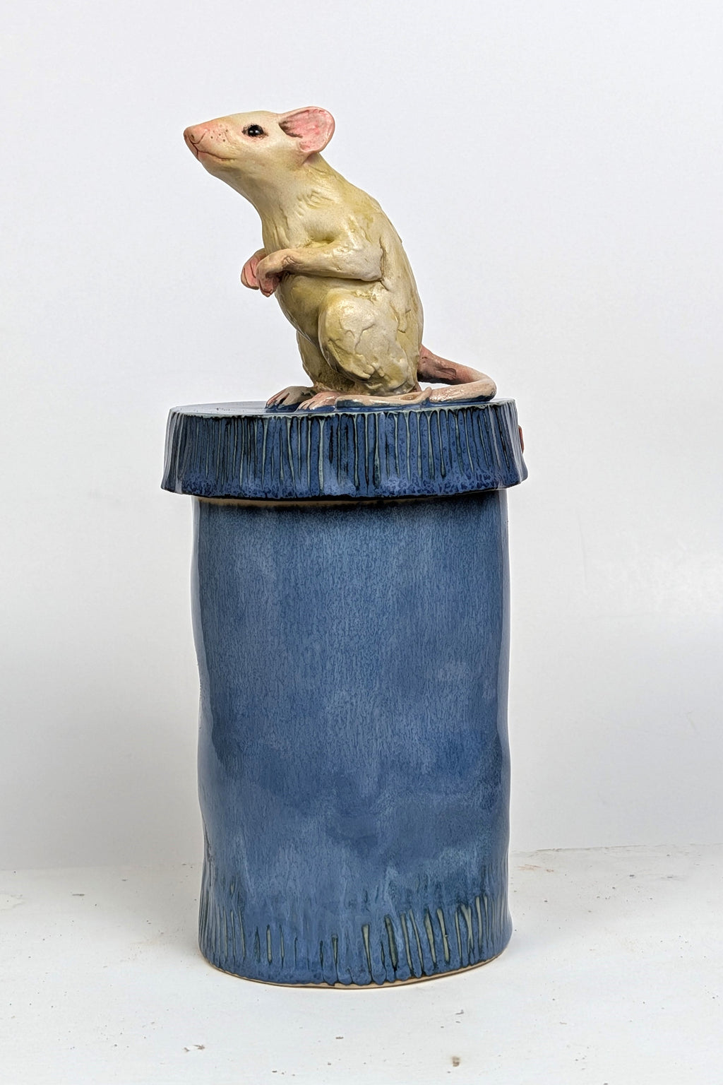 RAT CANS