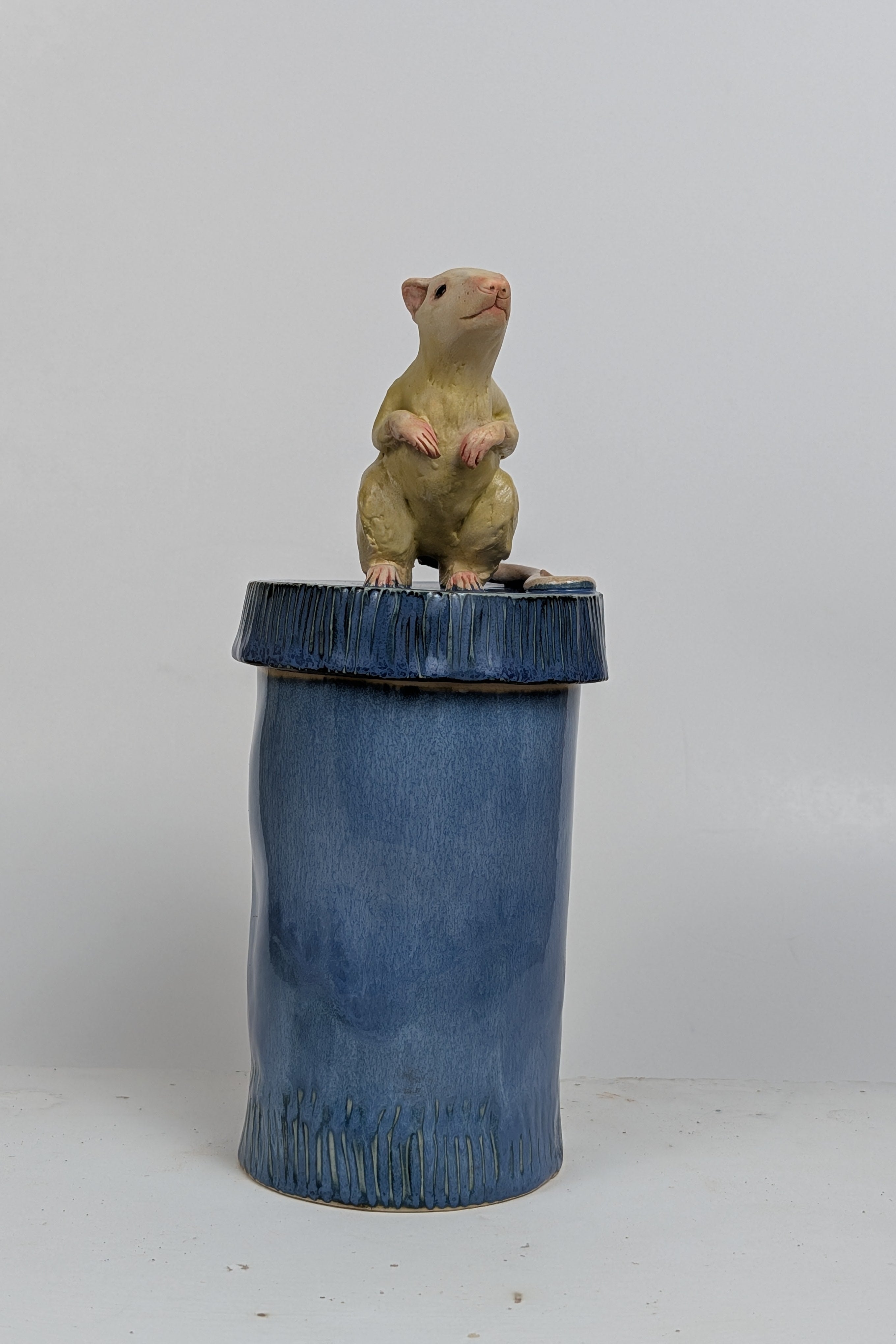 RAT CANS