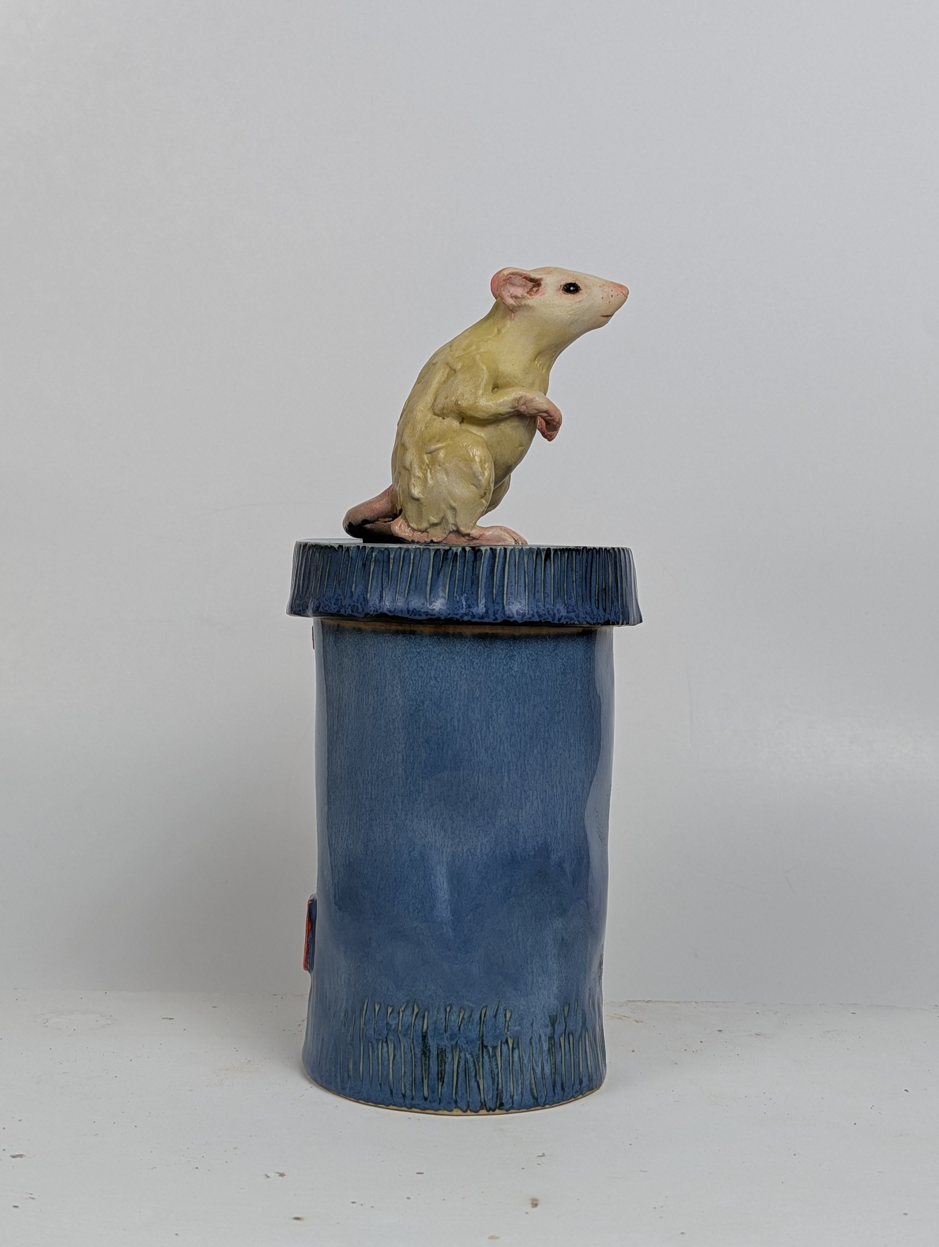 RAT CANS