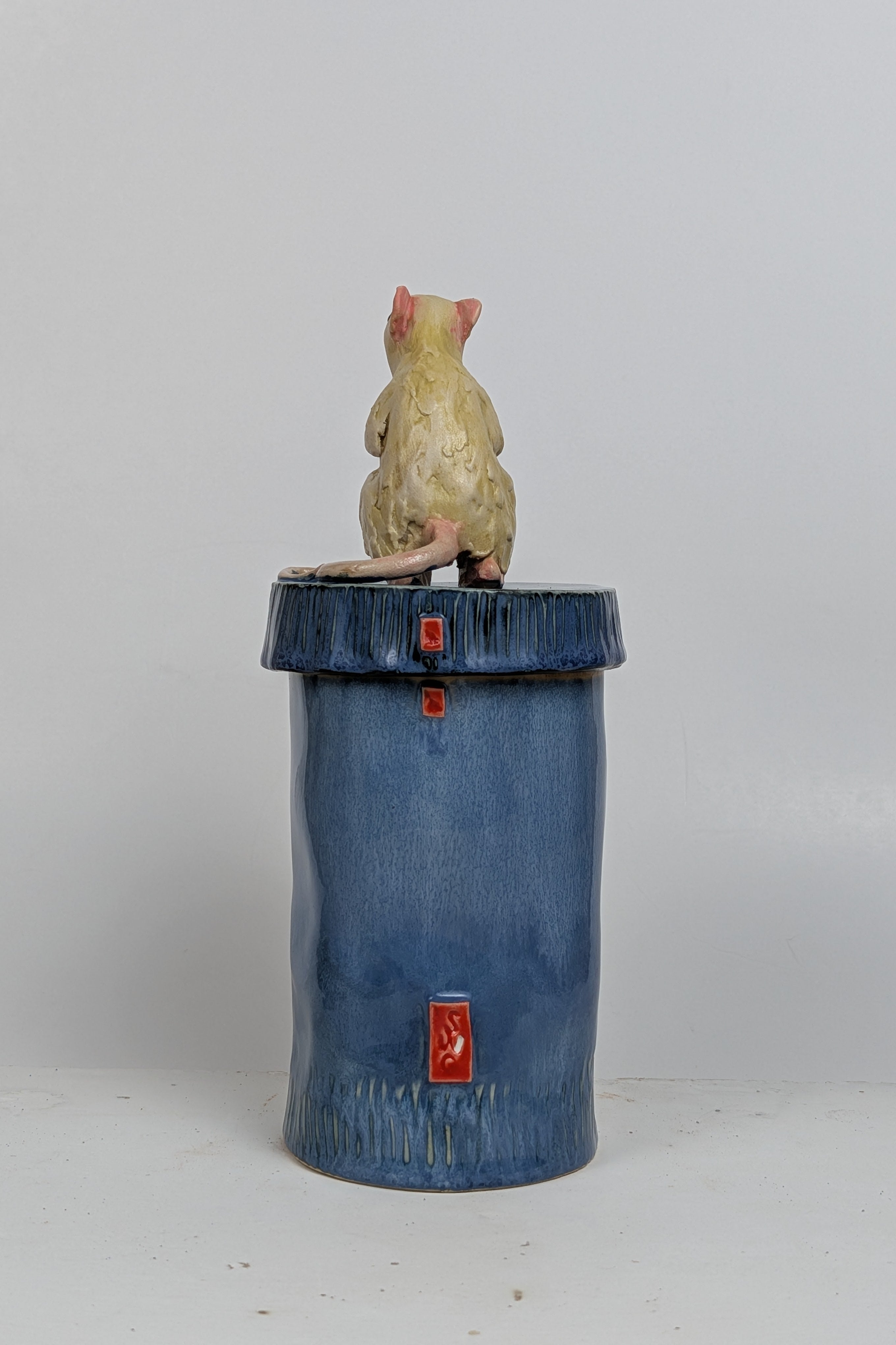RAT CANS