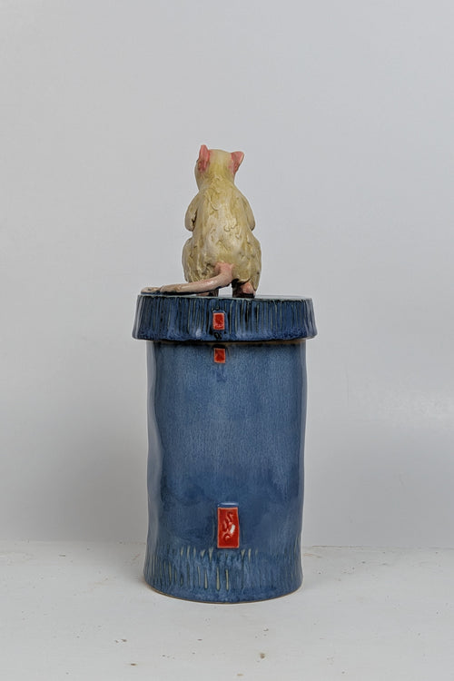 RAT CANS