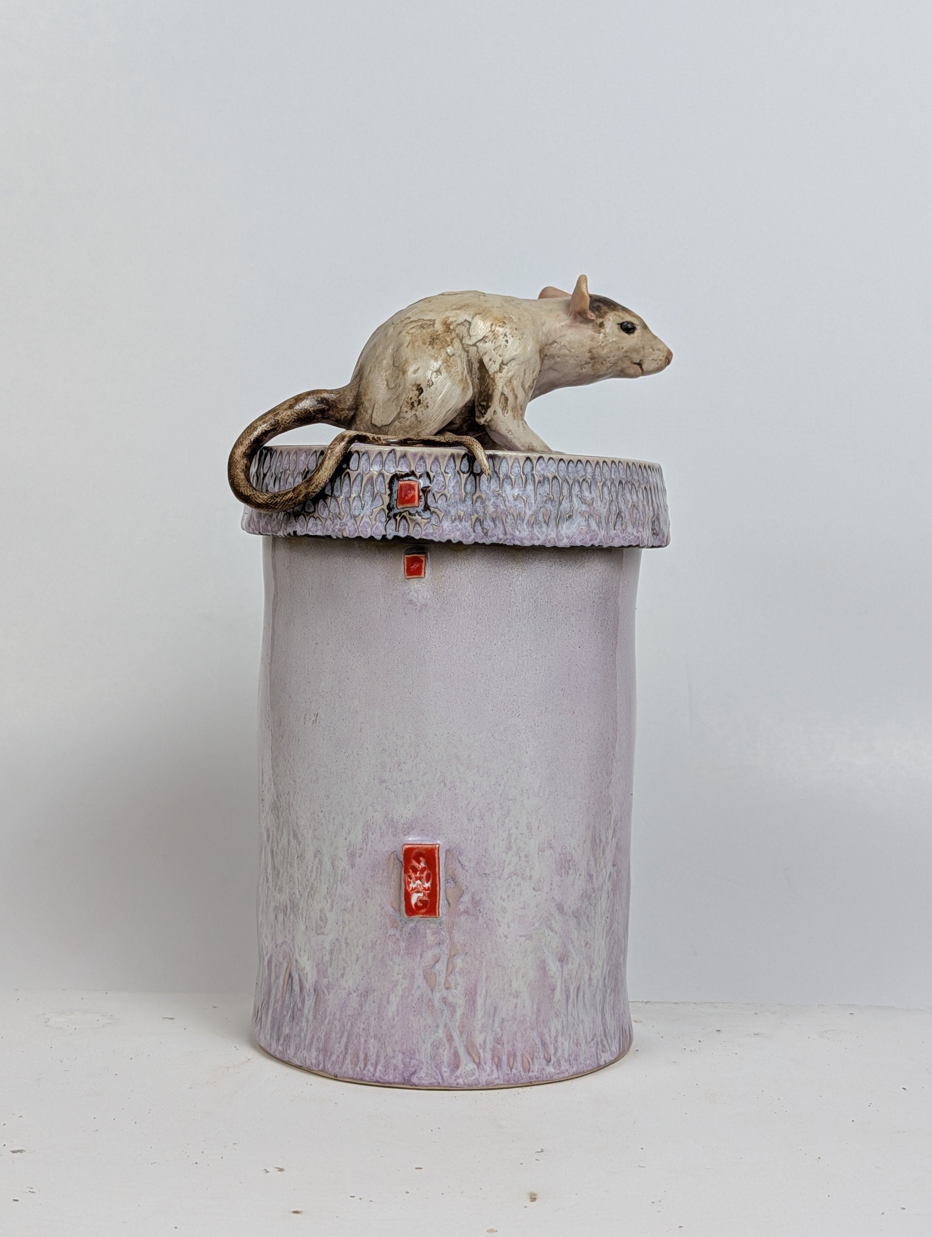 RAT CANS