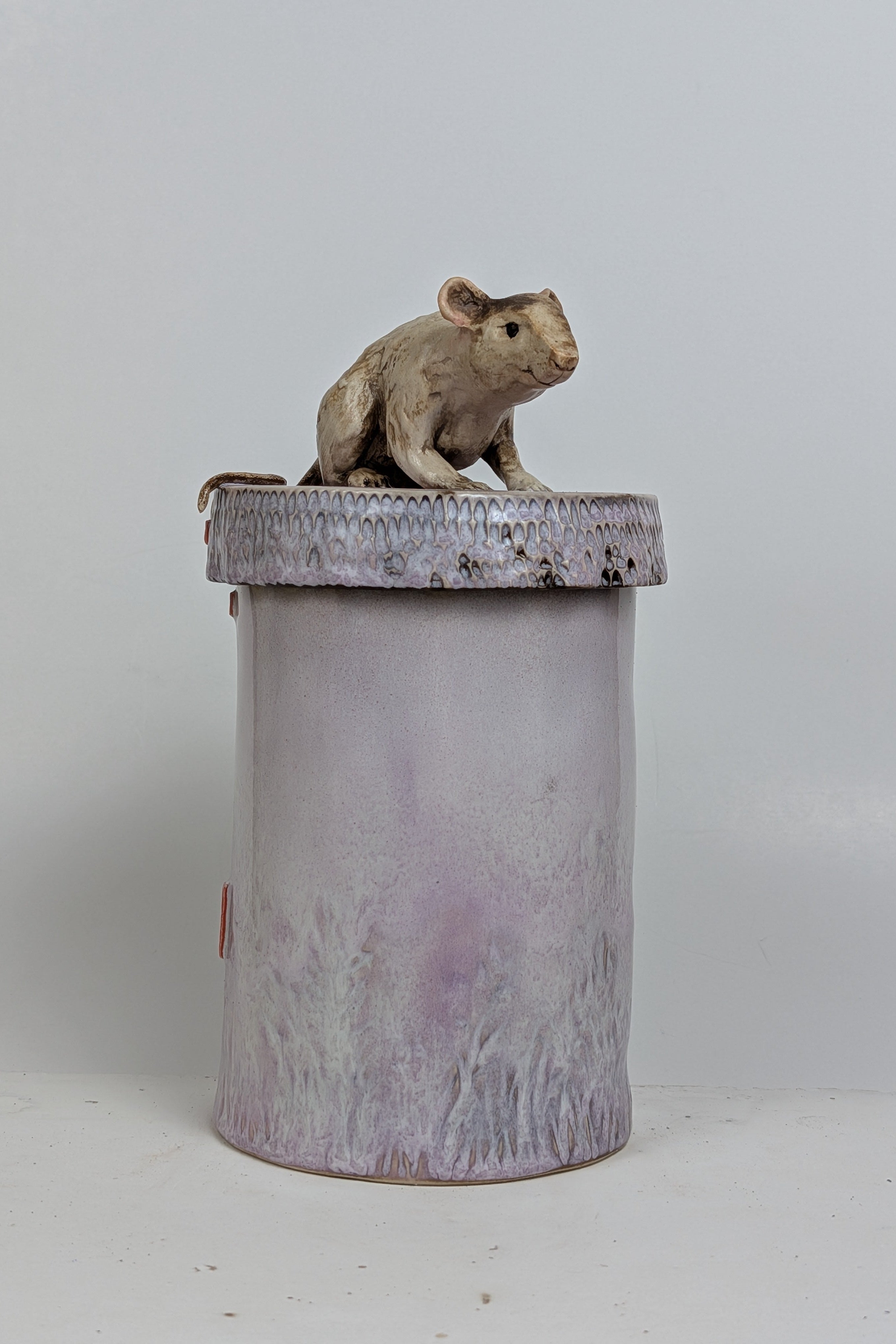 RAT CANS