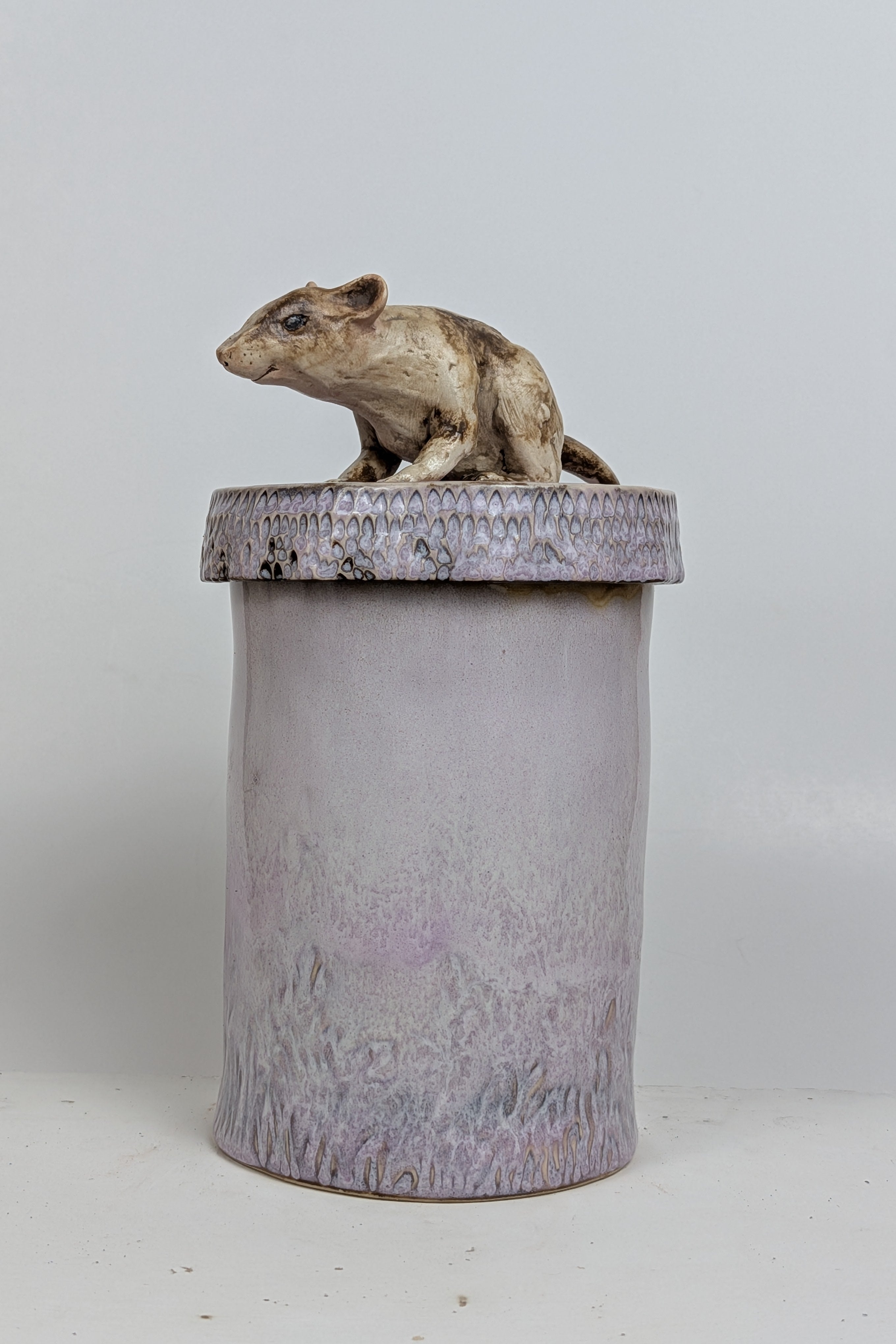 RAT CANS