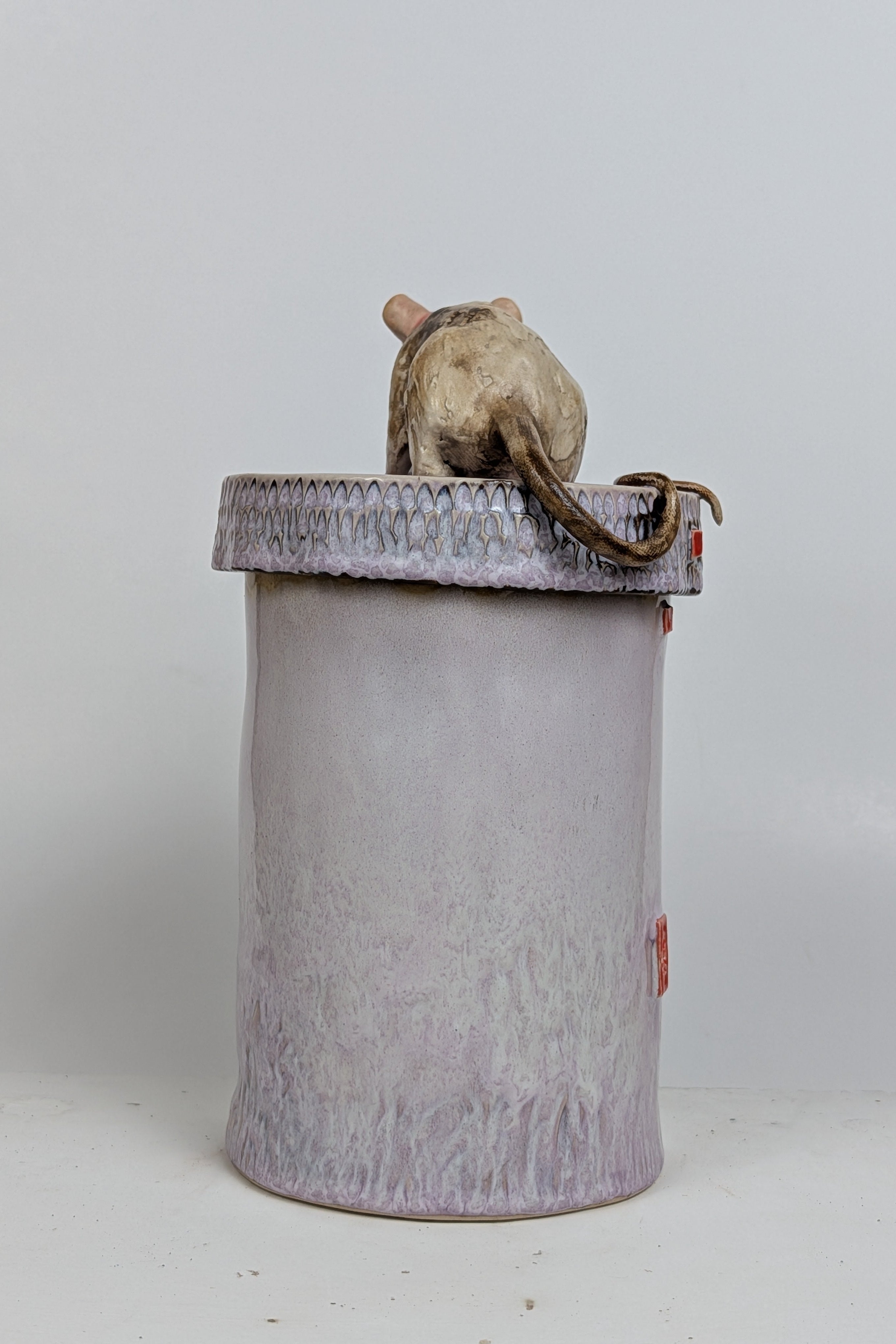 RAT CANS