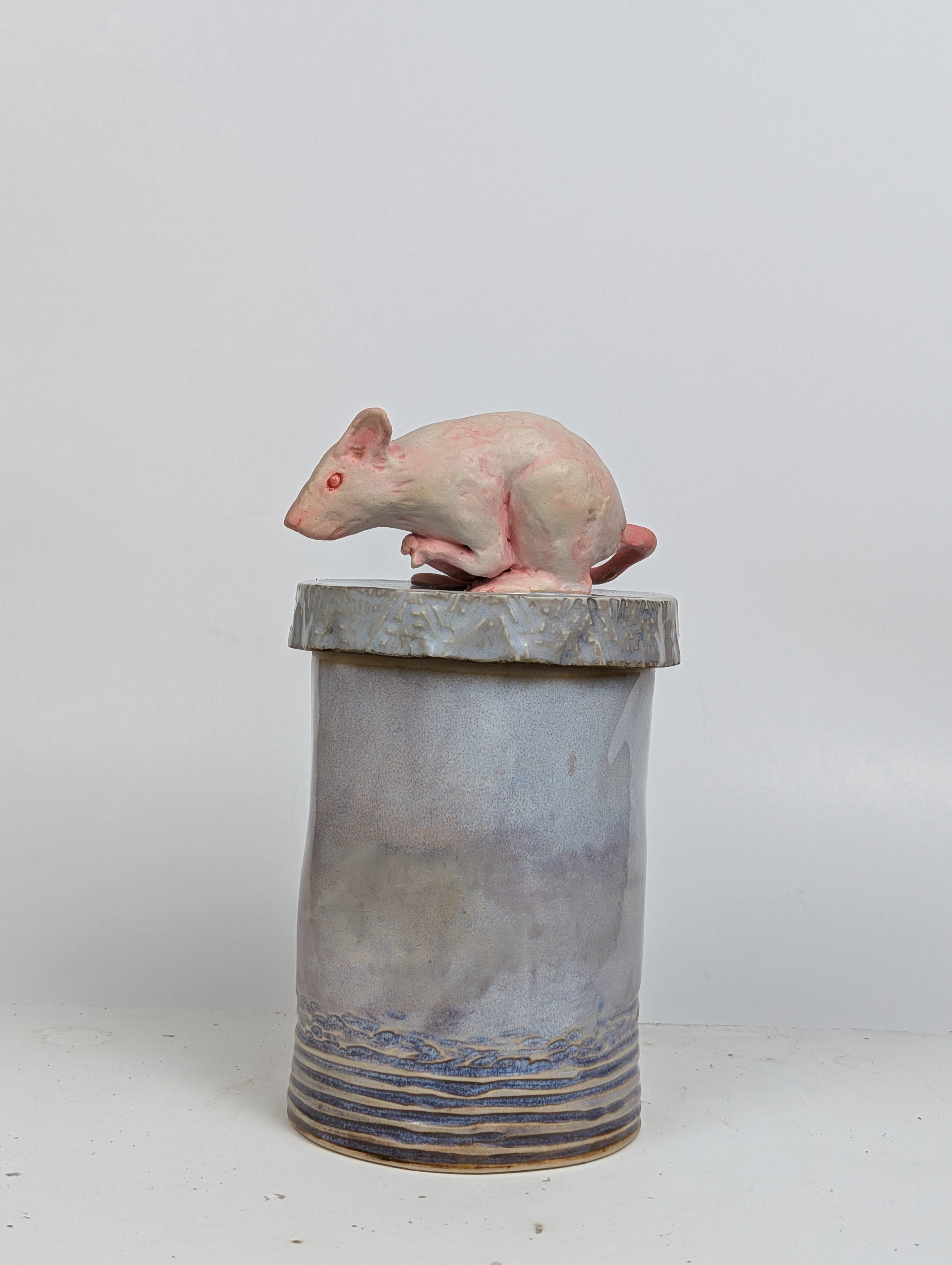 RAT CANS