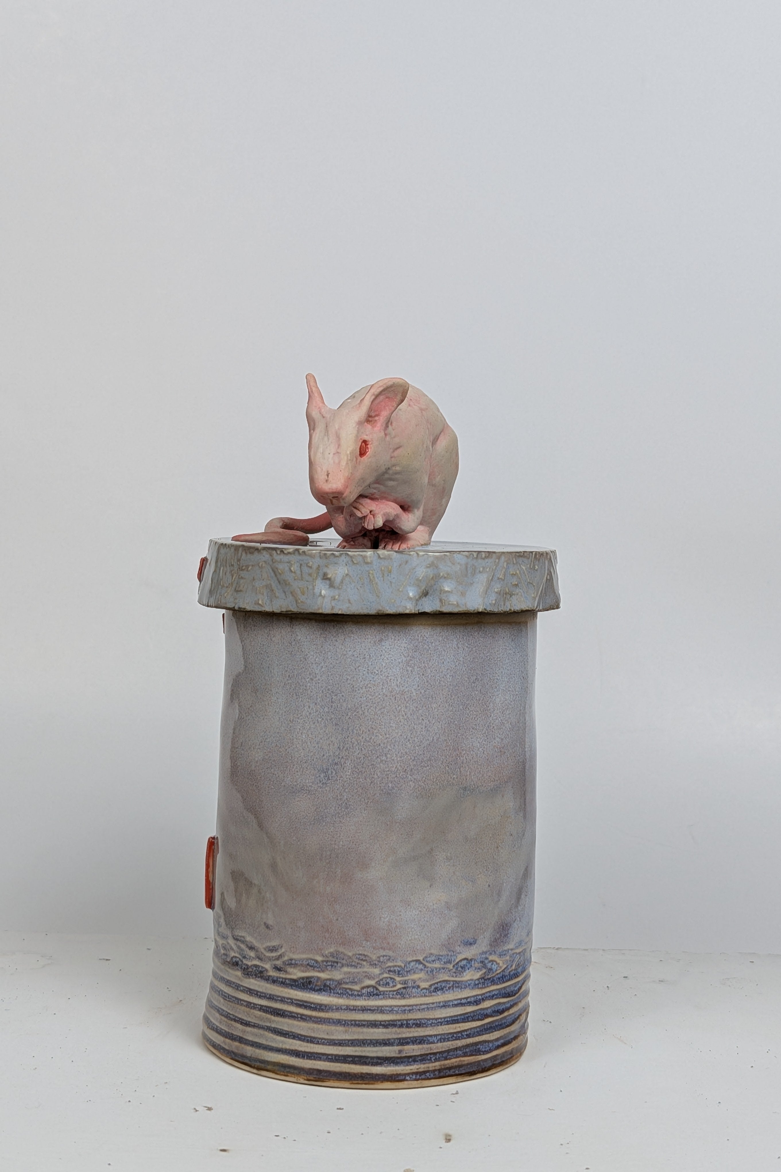 RAT CANS